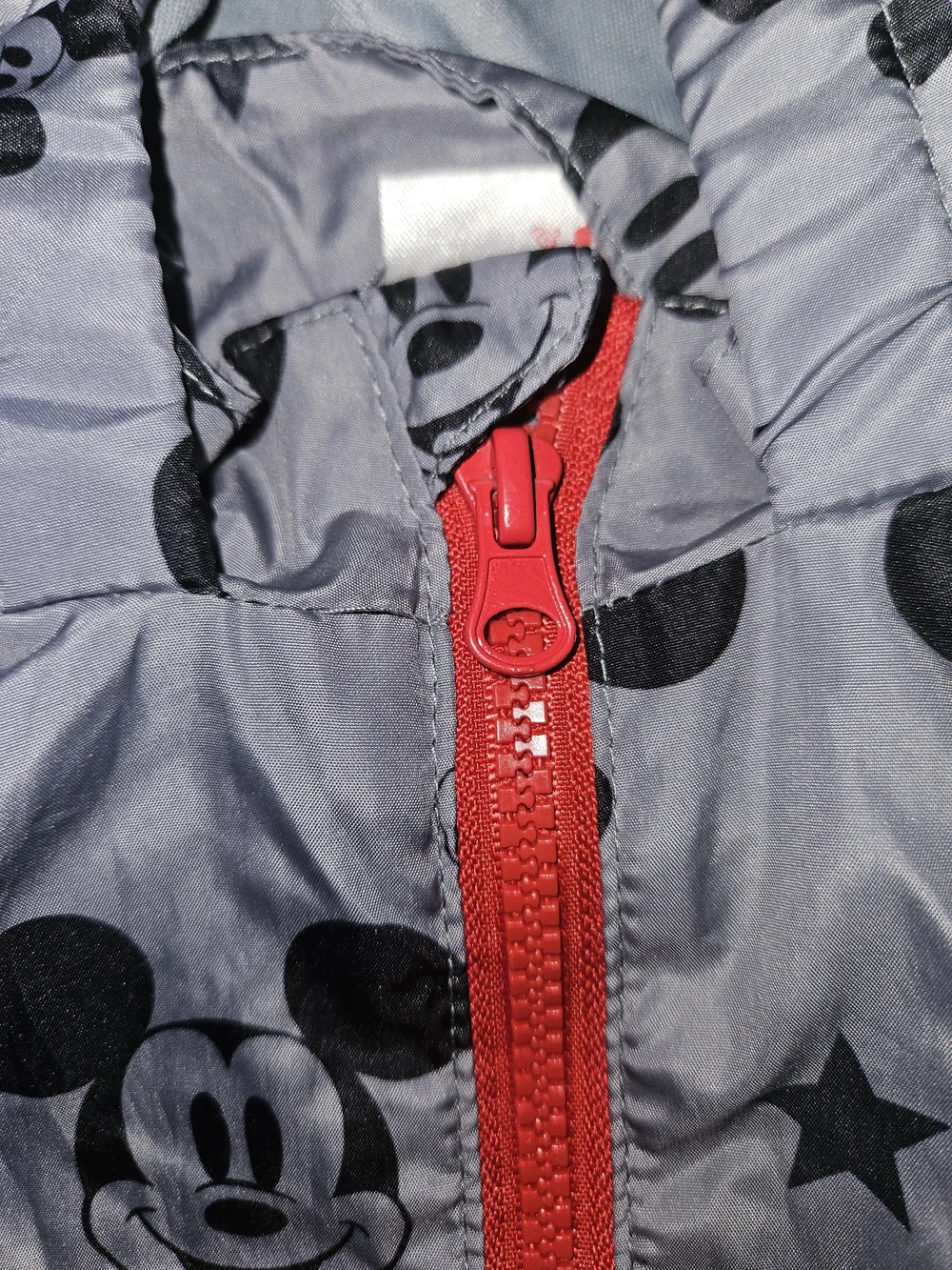 Disney Gray Mickey Mouse Hooded Windbreaker with Red Zipper